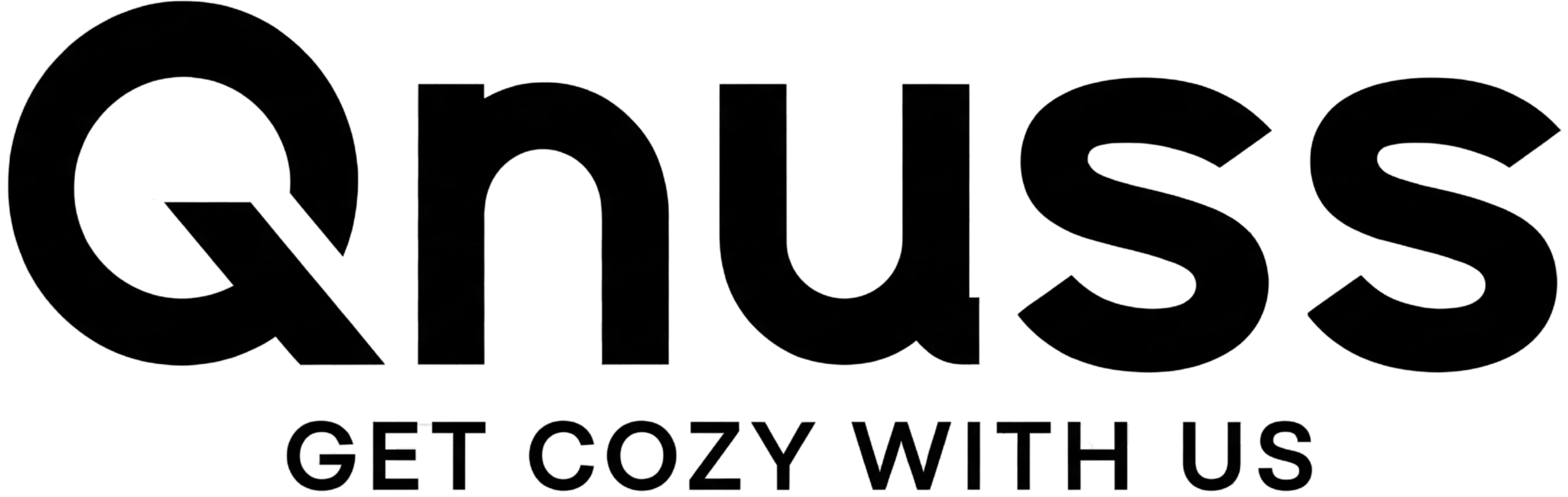 Qnuss Logo